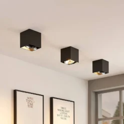 Jarle 1 Plafondlamp Black - Arcchio - Koop Online -lampenmaster winkel 4251096574340 3