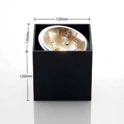 Jarle 1 Plafondlamp Black - Arcchio - Koop Online -lampenmaster winkel 4251096574340 4