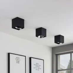 Jarle 1 Plafondlamp Black - Arcchio - Koop Online -lampenmaster winkel 4251096574340 5