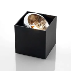 Jarle 1 Plafondlamp Black - Arcchio - Koop Online -lampenmaster winkel 4251096574340 6