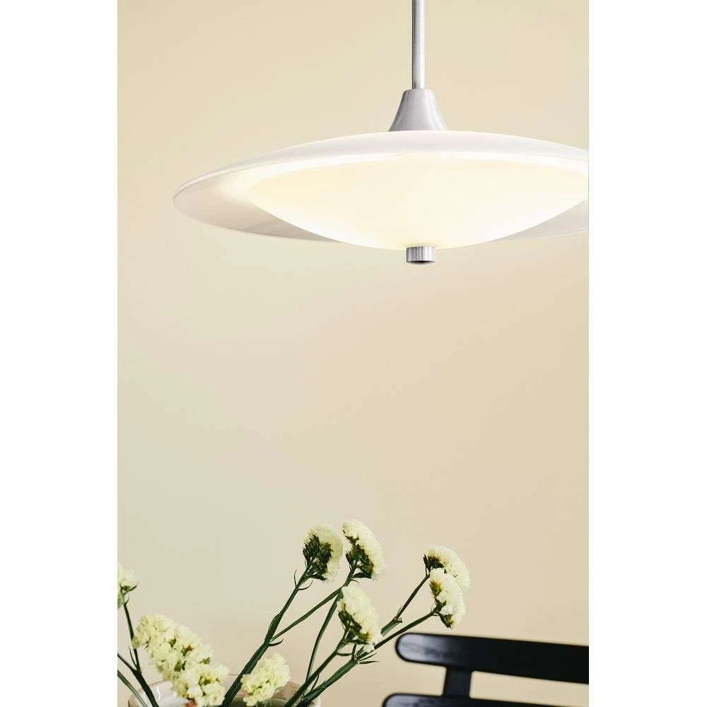Baroni Ø46 Hanglamp - Halo Design - Koop Online 2 Baroni Ø46 Hanglamp - Halo Design - Koop Online - Afbeelding 2