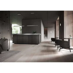 Inlay Round C2 Plafondlamp Matt Black/Satin Silver - Light-Point - Koop Online -lampenmaster winkel 5711389001094 5